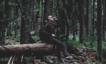person sitting on logs in forest